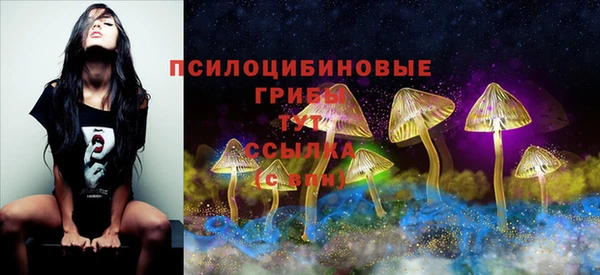 mix Медногорск