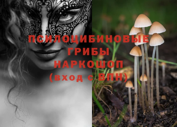 mix Медногорск