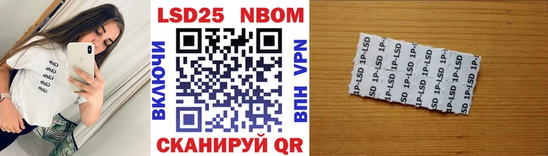 Купить закладки  Камышлов  Наркотические марки 1,8мг 